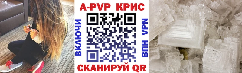 A PVP СК КРИС  Владимир 
