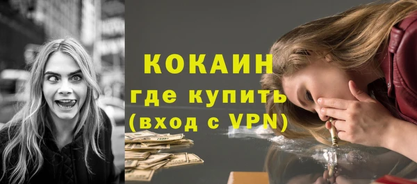 молекула духа Бородино