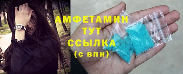 молекула духа Бородино
