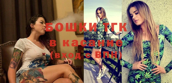 молекула духа Бородино
