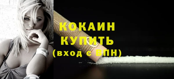 молекула духа Бородино