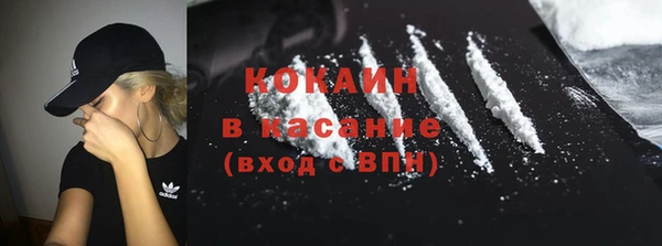 молекула духа Бородино