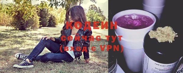 шишки Протвино