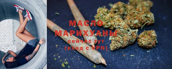молекула духа Бородино