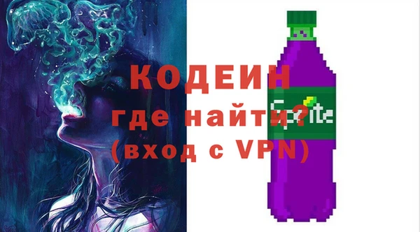 молекула духа Бородино